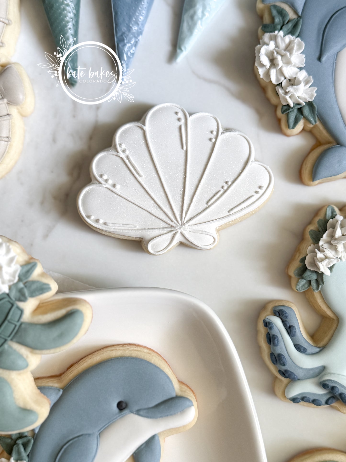 Sea Shell Cookie Cutter