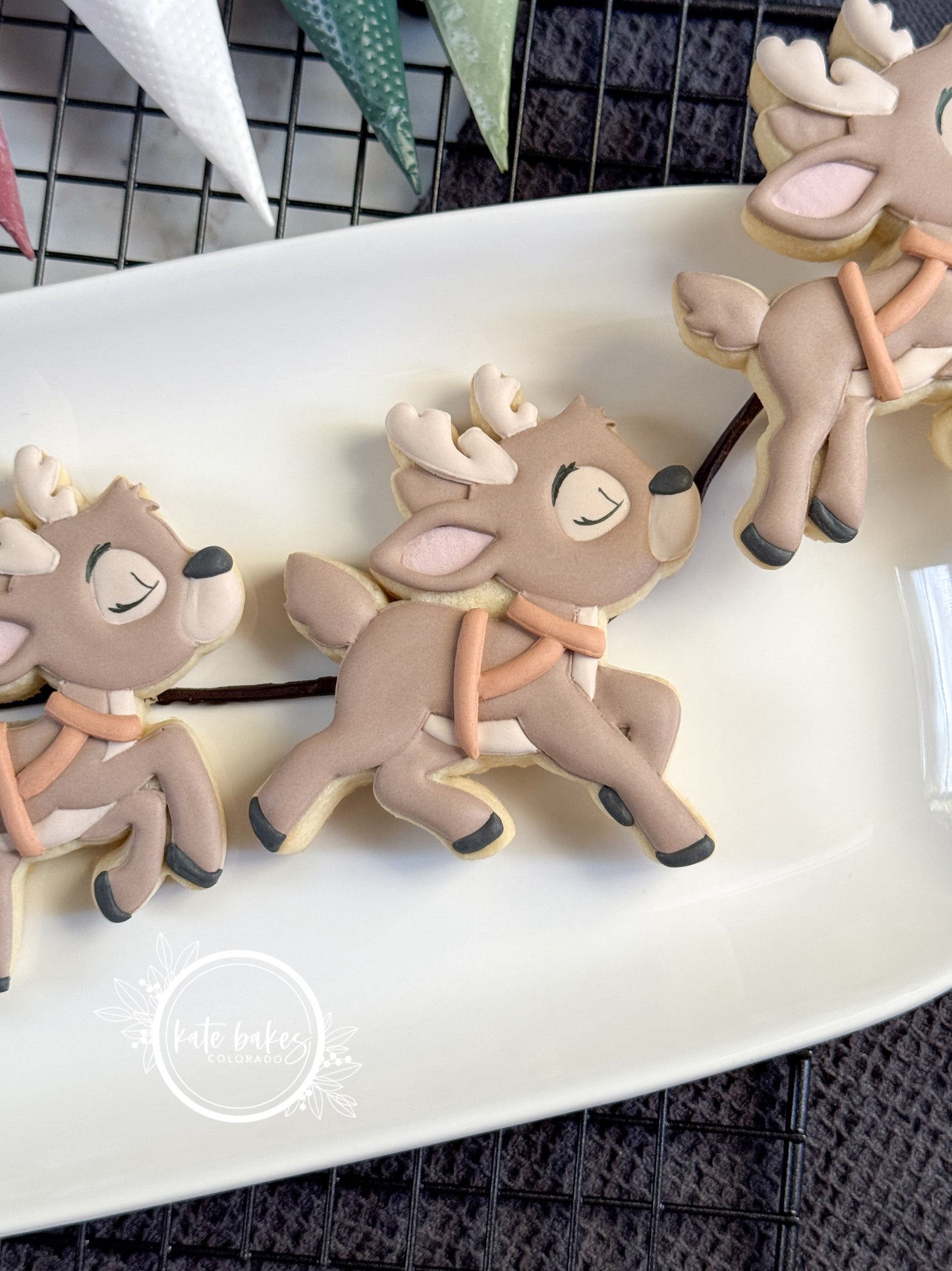 Santa in Sleigh and Reindeer Cookie Cutter (SET OF 3)