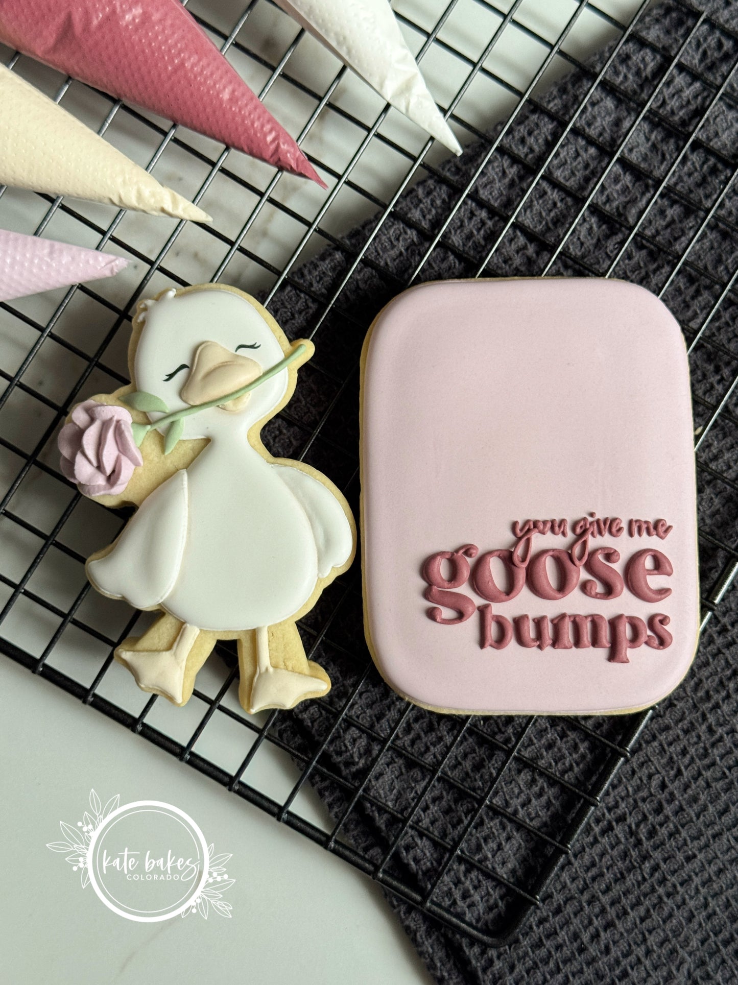 Plantilla de Oso con Corona de Flores Tropicales + Hoja Transferible